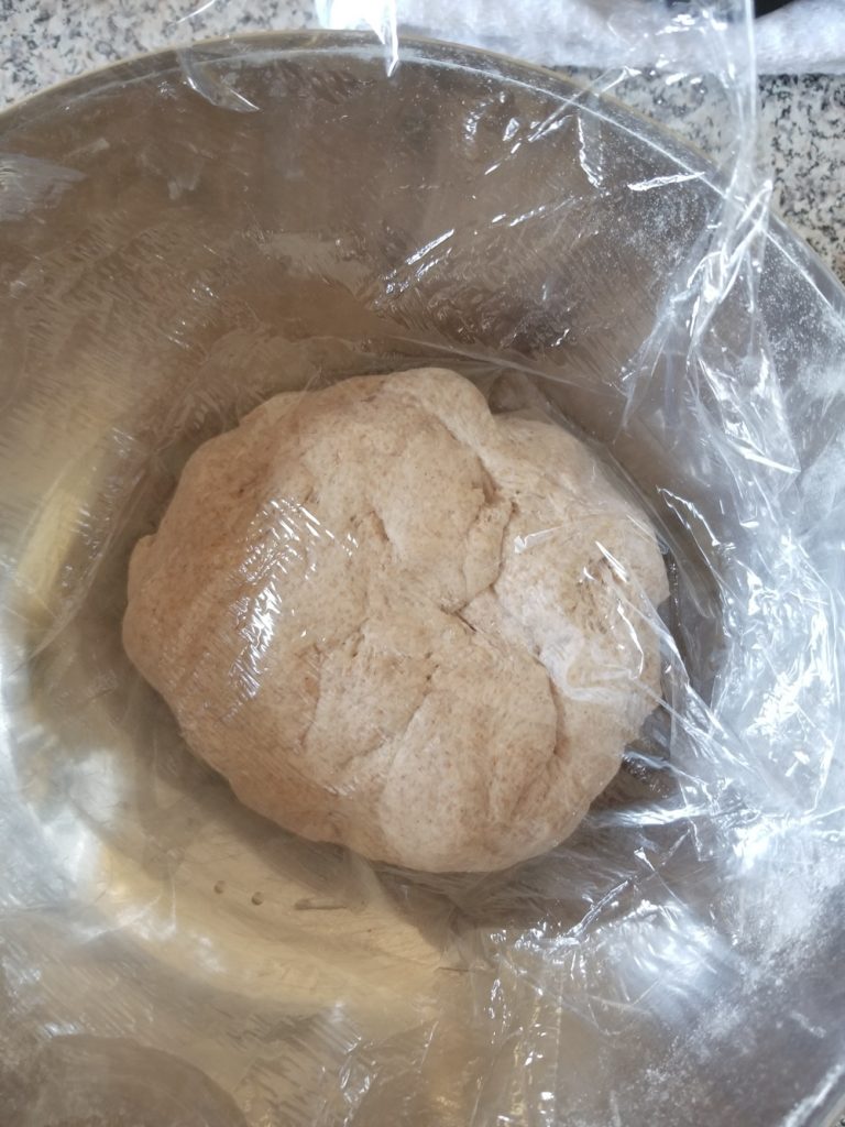 dough ready to proof